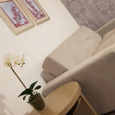 Village Hotel 4*